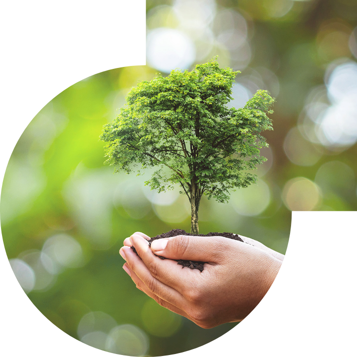 關懷人類、文化、環境與社會